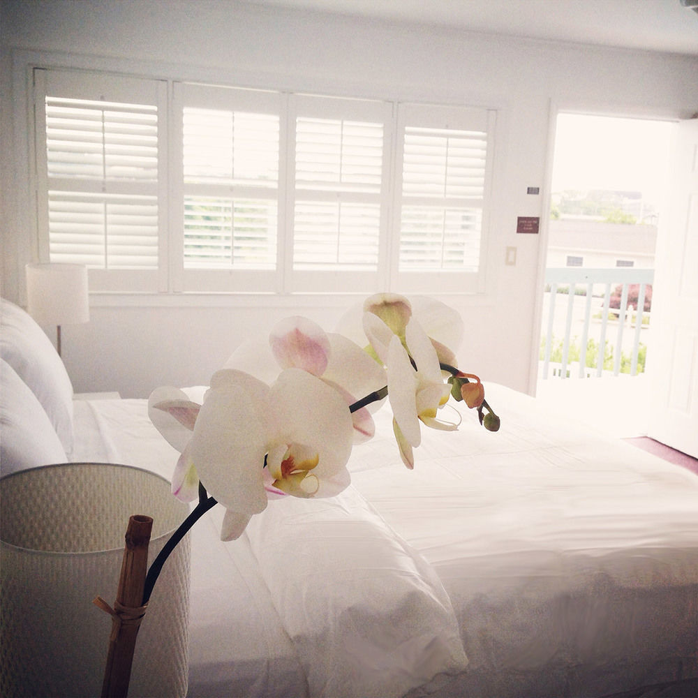 Haven Montauk Hotell Exteriör bild